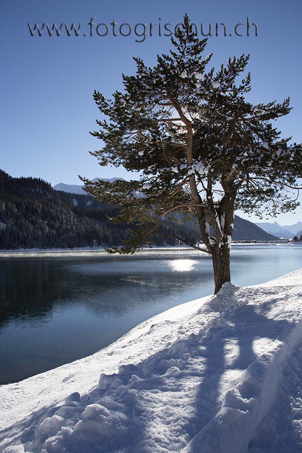 Schliessen von Davosersee_Winter.jpg