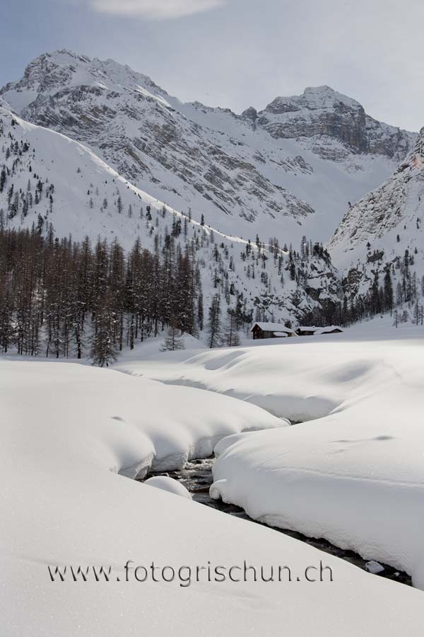 Schliessen von Ducan_Winter.jpg