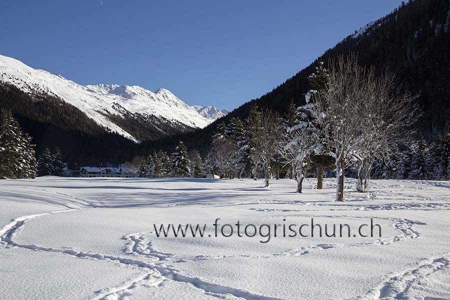 Schliessen von Golfplatz_Davos_Winter_2.jpg