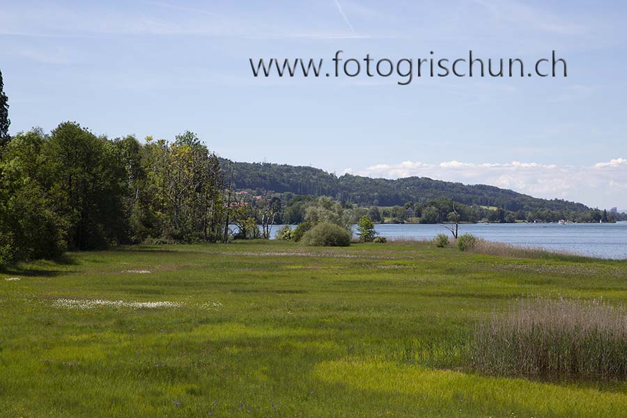 Schliessen von Greifensee_2.jpg