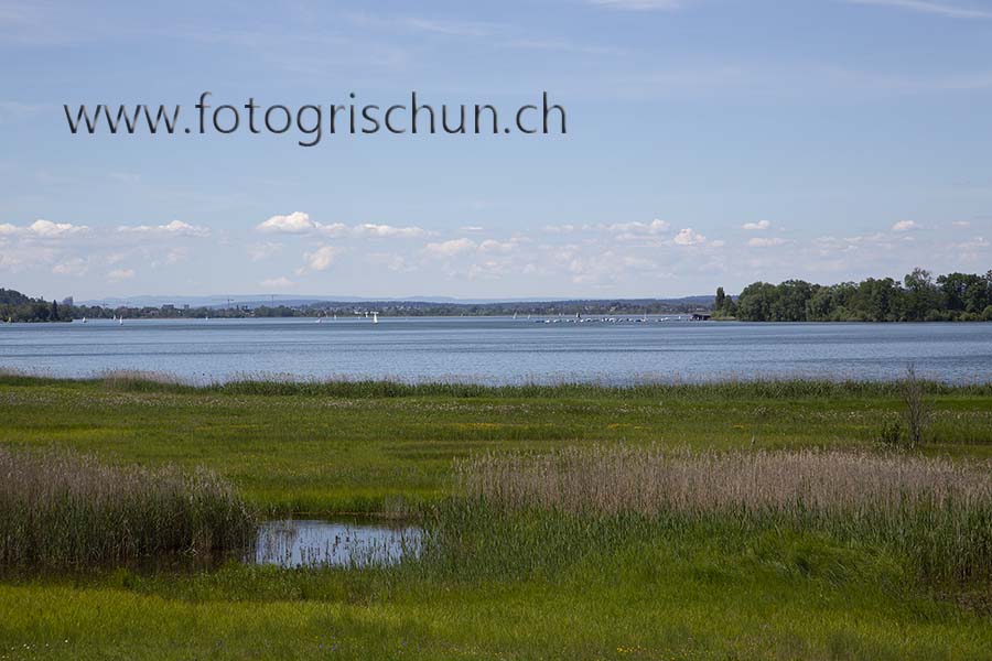 Schliessen von Greifensee_Riedikon.jpg