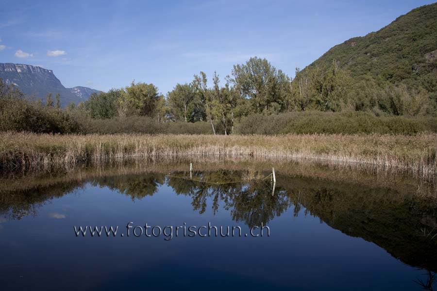 Schliessen von Kalterersee_Biotop.JPG