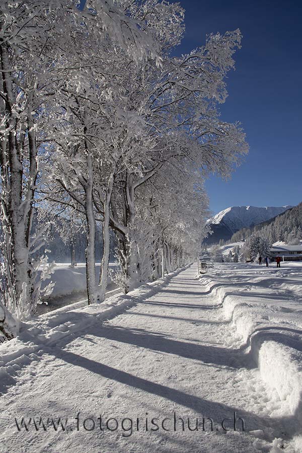 Schliessen von Landwasserweg_Winter_2.jpg