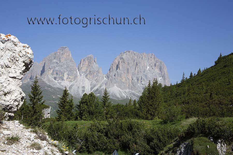 Schliessen von Langkofel_Baeume.jpg