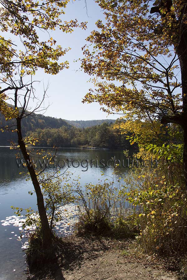 Schliessen von Montigglersee_Herbst1.jpg