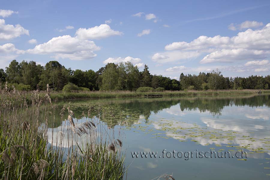 Schliessen von Pfaeffikersee.jpg