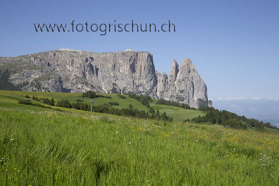 Schliessen von Schlern_Wiese_2.jpg