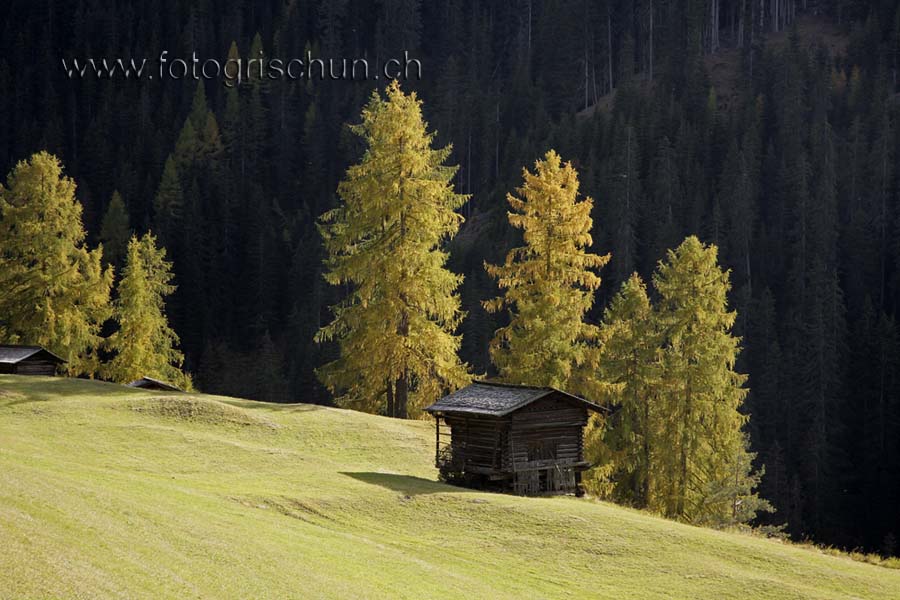 Schliessen von Wiese_Stall.jpg