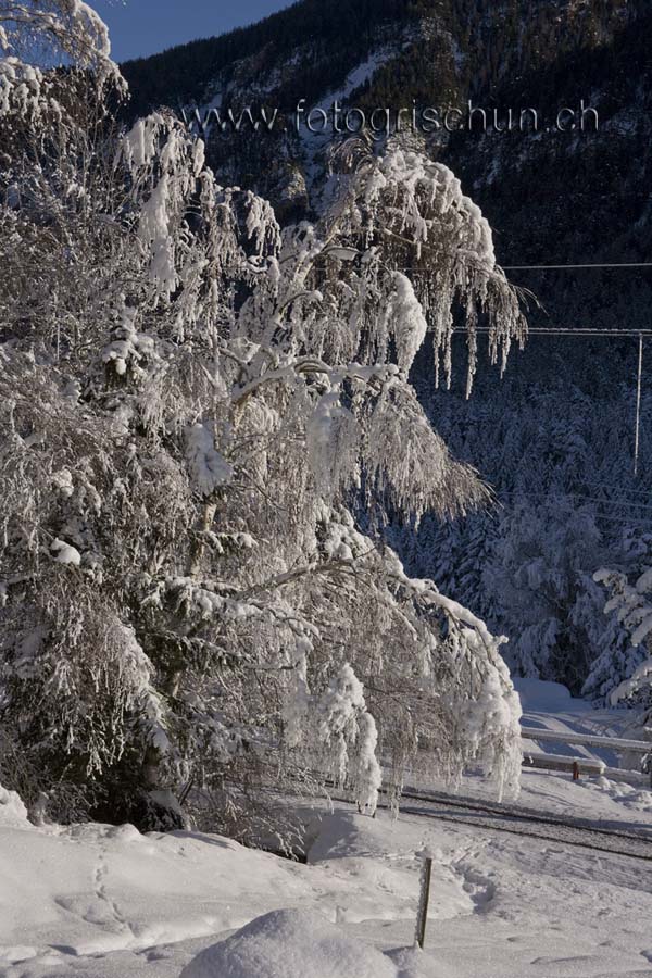 Schliessen von Winterbaum.jpg