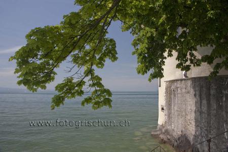 Klick für Originalgröße :Bodensee.jpg