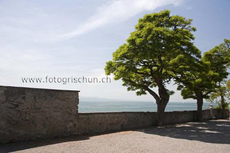 Klick für Originalgröße :Bodensee1.jpg