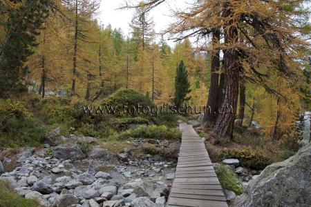 Klick für Originalgröße :ImHerbst.jpg