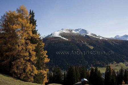 Klick für Originalgröße :Jakobshorn.jpg