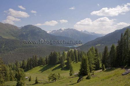 Klick für Originalgröße :LandschaftDavos.jpg