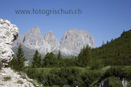 Klick für Originalgröße :Langkofel_Baeume.jpg