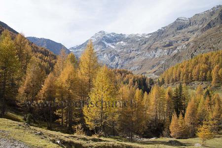 Klick für Originalgröße :Lazins_Herbst.jpg