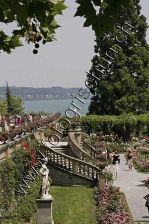 Klick für Originalgröße :Mainau.jpg