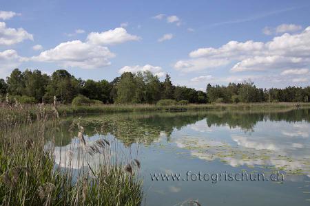 Klick für Originalgröße :Pfaeffikersee.jpg