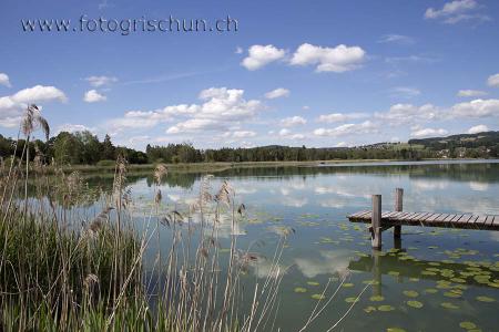 Klick für Originalgröße :Pfaeffikersee2.jpg