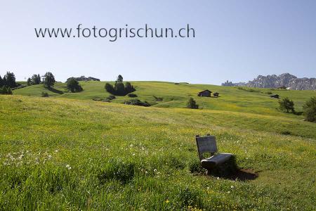 Klick für Originalgröße :SeiserAlm_Bank.jpg