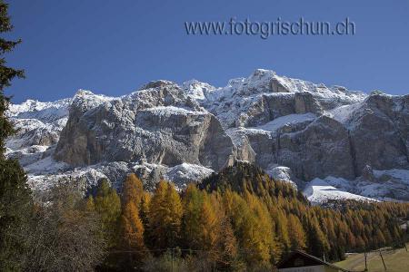 Klick für Originalgröße :Sellagruppe_Herbst_2.jpg