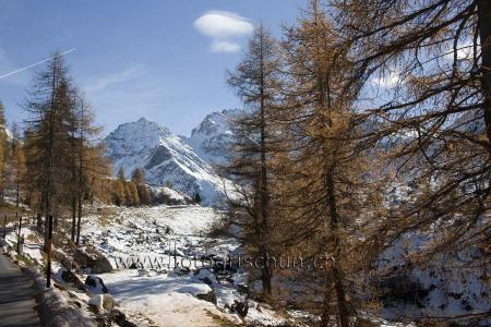 Klick für Originalgröße :Sertig_Schnee.jpg