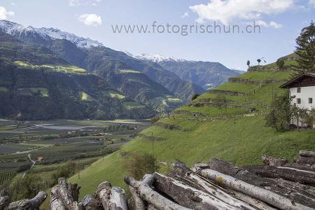 Klick für Originalgröße :Sonnenberg_Naturns.jpg