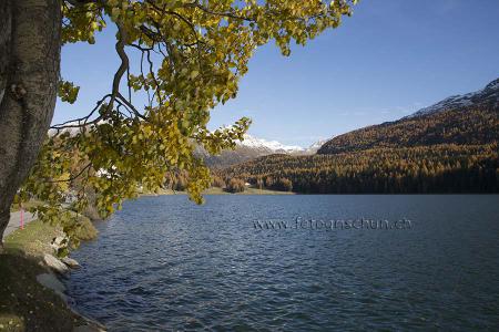 Klick für Originalgröße :StMoritz_See3.jpg