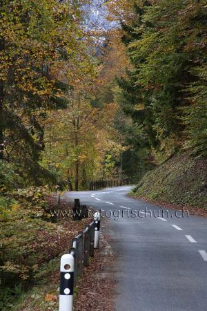 Klick für Originalgröße :StrasseHerbst.jpg