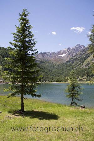 Klick für Originalgröße :Weissbrunnsee_2.jpg