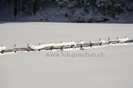 Klick für Originalgröße :ZaunSchnee.jpg